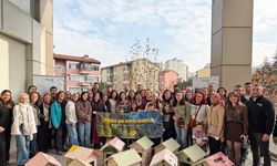 Atık ahşaplar kuşlara yuva oldu