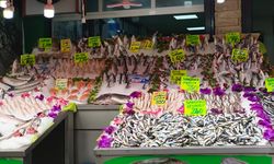 ‘Karizma Balıkçı’dan keseye uygun öneriler