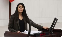 DEM Partili Beritan Güneş’ten Bakan Tekin’e sert tepki: Tew mala minê!