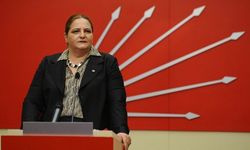 Bihlun Tamaylıgil kimdir?