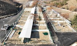 Çankaya Belediyesi sokak hayvanları için kapasiteyi 1500’e çıkardı