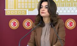 DEM Parti'li Koçyiğit: Yeni bir dönem, yeni bir Türkiye istiyoruz