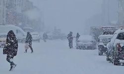 Doğu buz kesti; 2 ilçe eksi 25 dereceyi gördü