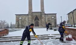 Erzurum ve Erzincan'a kar yağdı