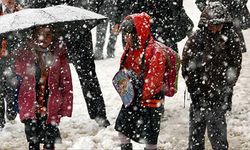 Dondurucu soğuk ve kar eğitimi vurdu: Çok sayıda ilde okullara kar tatili