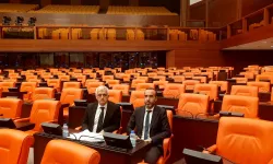 DEM Parti Milletvekilleri Gergerlioğlu ve Şenyaşar’dan Genel Kurul'da eylem