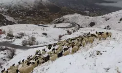 Hakkari'de kar yağışı etkili oldu; 2 köy ve 10 mezra yolu ulaşıma kapandı