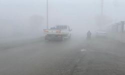 Iğdır'da sis etkili oldu
