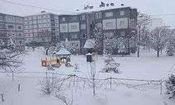 Bitlis’te 203 köy yolu açıldı