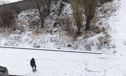 Kars'a mevsimin ilk karı düştü