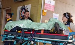 Kaza yapıp bilincini kaybeden sürücüsü, 9 saat sonra donmak üzereyken bulundu