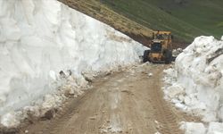 Kars'ta kar nedeniyle kapanan 8 köy yolu ulaşıma açıldı