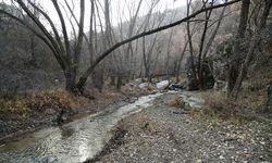 Kıbrıs Vadisi Ankara Kent Konseyi’nde ele alınacak