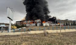 Kırıkkale'de fabrika yangını: Çok sayıda ekip sevk edildi