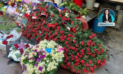 Yeni yılın şans çiçeği Kokina’ya yüzde 100 zam!