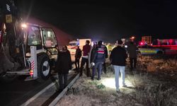 Malatya'da milyonluk yarış tayları çiftlikten kaçtı; 8'i öldü, bazıları kayıp