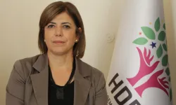 Meral Danış Beştaş’tan AK Parti’nin süreç raporuna tepki: ‘Ciddi itirazlarımız var’