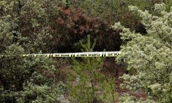 Karabük'te kayıp kişi ormanlık alanda ölü bulundu