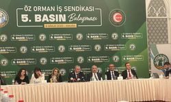 Öz Orman-İş Sendikası Genel Başkanı Aslan: Yangınlarla mücadele için işçi alımı yapılmalı
