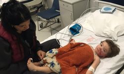 2 kardeşe saldıran pitbull ile ilgili 12 şikayet yapılmış