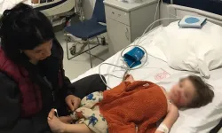 Ankara'da 2 çocuğa saldıran pitbull cinsi köpeğin sahibi tutuklandı