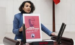 DEM Partili Çiçek Otlu, 'Rojin Kabaiş’e ne oldu, katilleri nerede' diye sordu