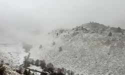 Tunceli’nin yüksek kesimleri beyaza büründü