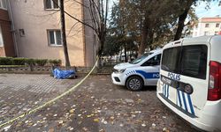 Türkmenistanlı üniversite öğrencisi, yolda ölü bulundu