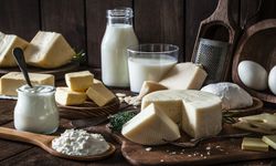 TÜİK: Tavuk eti ve yumurta üretimi arttı, süt üretimi azaldı