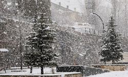 Van'da kar etkili oldu