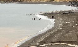 Yüksek kesimlerine kar yağan Bitlis'te, göle girip yüzdüler