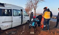 Şanlıurfa’da minibüs ağaca çarptı: 7 yaralı