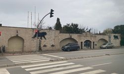 33 yıldır hizmet veren Darıca hayvanat bahçesi kapatıldı