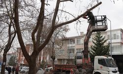 Keçiören’de park ve yeşil alanlarda kış bakımı sürüyor