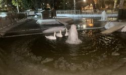 Ankara'nın simgelerinden Kuğulu Park'taki havuz buz tuttu