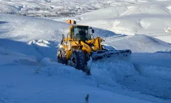 Bingöl’de kar nedeniyle 192 köy yolu ulaşıma kapandı
