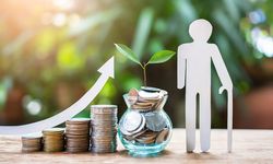 Bireysel emeklilikte devlet katkı oranı düşürüldü!