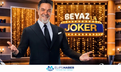 19 Ekim 2025 tarihinde Paris'teki Louvre Müzesi'nde meydana gelen soygunda hırsızlar hangi yöntemi kullanmışlardır?