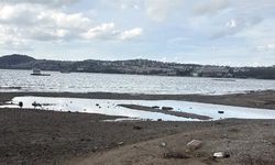 Bodrum'da deniz çekildi