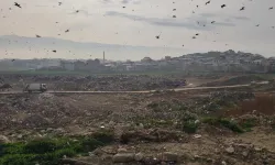Çevre, Şehircilik ve İklim Değişikliği Bakanlığı'ndan CHP'li belediyeye 'çevre kirliliği' cezası