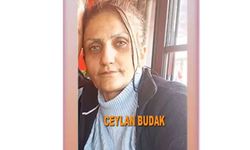 Esra Erol Ceylan Budak kimdir?