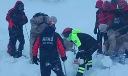 Artvin'de çığ altında kalan çoban aranıyor