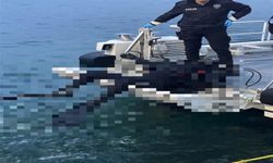 Denizde bulunan dalgıç kıyafetli ceset, kayıp Rumen’e ait çıktı