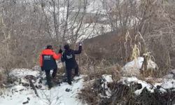 Diyarbakır’da kayıp kadından 4 gündür haber yok; aramalar soğuk ve sisli havada sürüyor