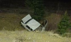 Domuza çarpan otomobil, şarampole yuvarlandı; 1 ölü