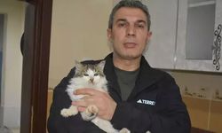 Dondurucu soğukta apartmandaki dairesini kedilere açtı