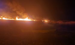 Eber Gölü'nde 5 farklı noktada yangın