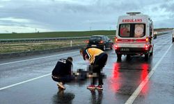 Edirne'de otomobilin çarptığı yaya öldü