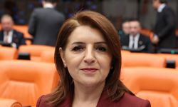 Gülcan Kış: Çocuk cinayetleri sistem çöküşünün sonucu
