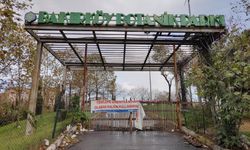 Bakırköy'de botanik parkta hayvan ölümleri iddiası